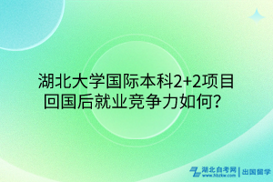 湖北大學(xué)國(guó)際本科2+2項(xiàng)目回國(guó)后就業(yè)競(jìng)爭(zhēng)力如何？