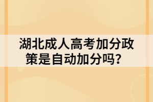 湖北成人高考加分政策是自動加分嗎？