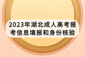 2023年湖北成人高考報考信息填報和身份核驗