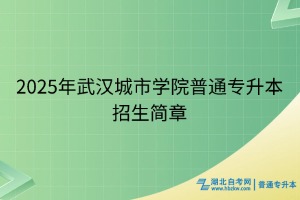 2025年武漢城市學院普通專升本招生簡章