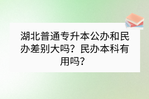湖北普通專升本公辦和民辦差別大嗎？民辦本科有用嗎？