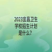 2023宜昌衛(wèi)生學(xué)校招生計(jì)劃是什么？