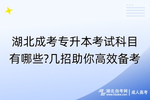 湖北成考專升本考試科目有哪些?幾招助你高效備考