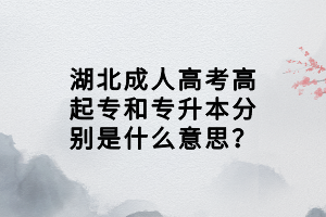 湖北成人高考高起專和專升本分別是什么意思？