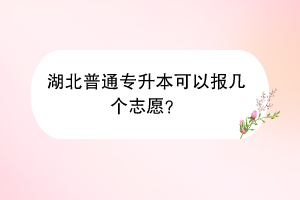湖北普通專升本可以報幾個志愿？