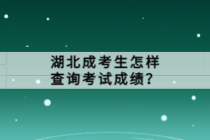 湖北成考生怎樣查詢考試成績？