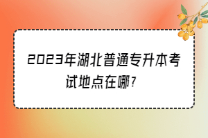 2023年湖北普通專升本考試地點在哪？
