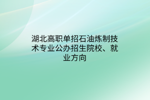 湖北高職單招石油煉制技術(shù)專業(yè)公辦招生院校、就業(yè)方向