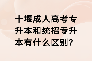 十堰成人高考專升本和統(tǒng)招專升本有什么區(qū)別？