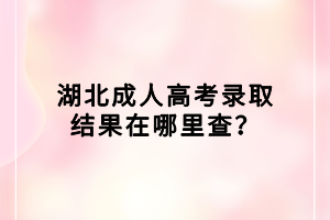 湖北成人高考錄取結(jié)果在哪里查？
