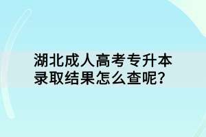 湖北成人高考專升本錄取結(jié)果怎么查呢？