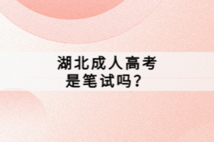 湖北成人高考是筆試嗎？