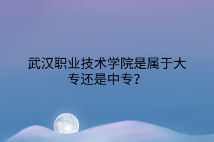 武漢職業(yè)技術學院是屬于大專還是中專？