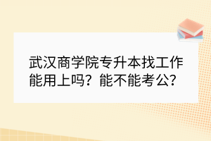 武漢商學(xué)院專升本找工作能用上嗎？能不能考公？