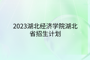 2023湖北經(jīng)濟(jì)學(xué)院湖北省招生計(jì)劃