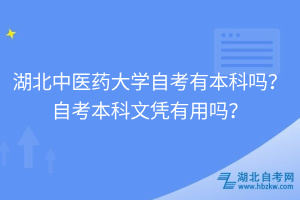 湖北中醫(yī)藥大學(xué)自考有本科嗎？自考本科文憑有用嗎？