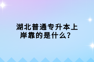 湖北普通專升本上岸靠的是什么？