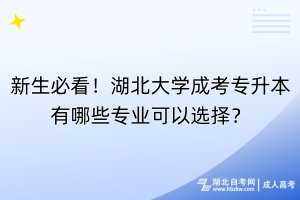 新生必看！湖北大學(xué)成考專升本有哪些專業(yè)可以選擇？