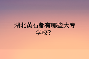 湖北黃石都有哪些大專學(xué)校？