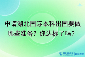 申請湖北國際本科出國要做哪些準(zhǔn)備？你達(dá)標(biāo)了嗎？