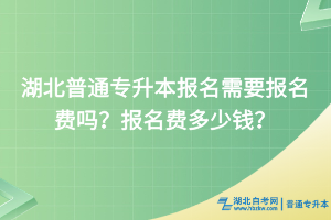 湖北普通專升本報名需要報名費嗎？報名費多少錢？