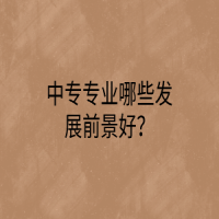 中專專業(yè)哪些發(fā)展前景好？