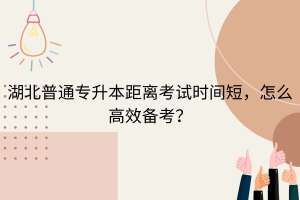 湖北普通專升本距離考試時(shí)間短，怎么高效備考？