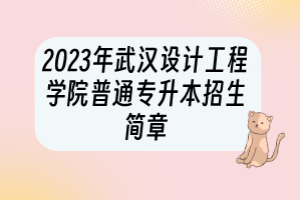 ?2023年武漢設(shè)計工程學院普通專升本招生簡章