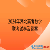 2024年湖北高考數(shù)學聯(lián)考試卷及答案