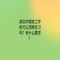 湖北中南技工學(xué)?？梢皂攳弻?shí)習(xí)嗎？有什么要求？