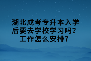 湖北成考專升本入學后要去學校學習嗎？工作怎么安排？
