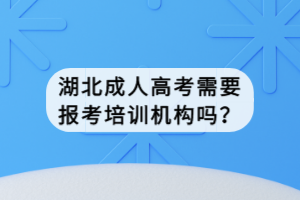 湖北成人高考需要報(bào)考培訓(xùn)機(jī)構(gòu)嗎？