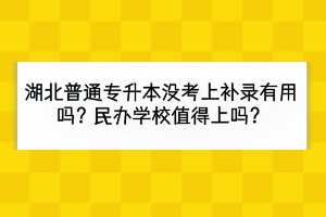 湖北普通專升本沒考上補錄有用嗎？民辦學校值得上嗎？