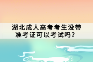 湖北成人高考考生沒帶準(zhǔn)考證可以考試嗎？