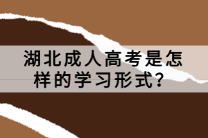 湖北成人高考是怎樣的學(xué)習(xí)形式？