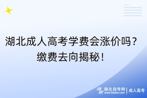 湖北成人高考學費會漲價嗎？繳費去向揭秘！