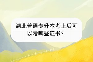 湖北普通專升本考上后可以考哪些證書？