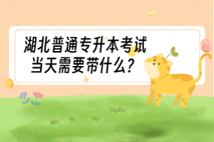 湖北普通專升本考試當(dāng)天需要帶什么？