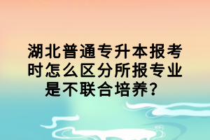 湖北普通專升本報(bào)考時(shí)怎么區(qū)分所報(bào)專業(yè)是不聯(lián)合培養(yǎng)？