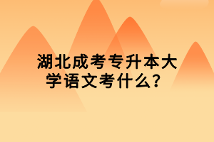 湖北成考專升本大學語文考什么？