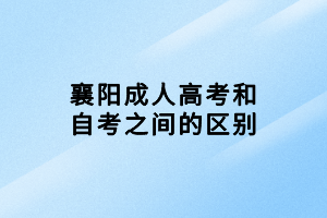 襄陽成人高考和自考之間的區(qū)別