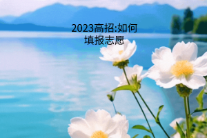 2023高招:如何填報志愿