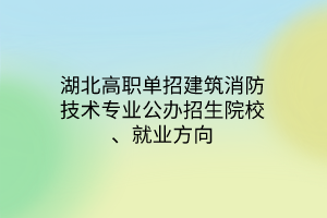 湖北高職單招建筑消防技術(shù)專業(yè)公辦招生院校、就業(yè)方向