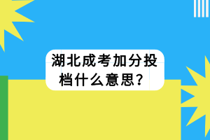 湖北成考加分投檔什么意思？