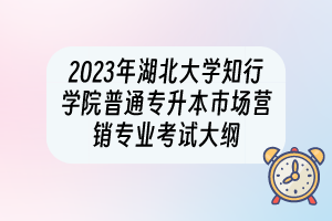 2023年湖北大學(xué)知行學(xué)院普通專升本市場(chǎng)營(yíng)銷專業(yè)考試大綱
