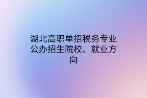 湖北高職單招稅務專業(yè)公辦招生院校、就業(yè)方向