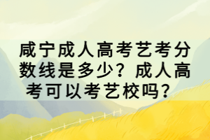 咸寧成人高考藝考分?jǐn)?shù)線是多少？成人高考可以考藝校嗎？ 