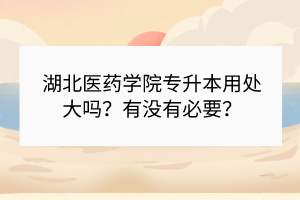 湖北醫(yī)藥學院專升本用處大嗎？有沒有必要？
