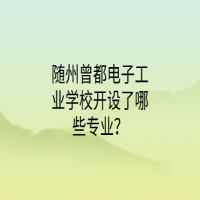 隨州曾都電子工業(yè)學(xué)校開(kāi)設(shè)了哪些專業(yè)？