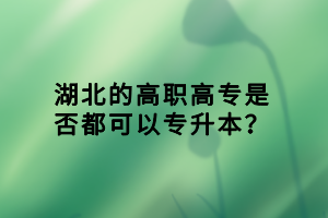 湖北的高職高專是否都可以專升本？